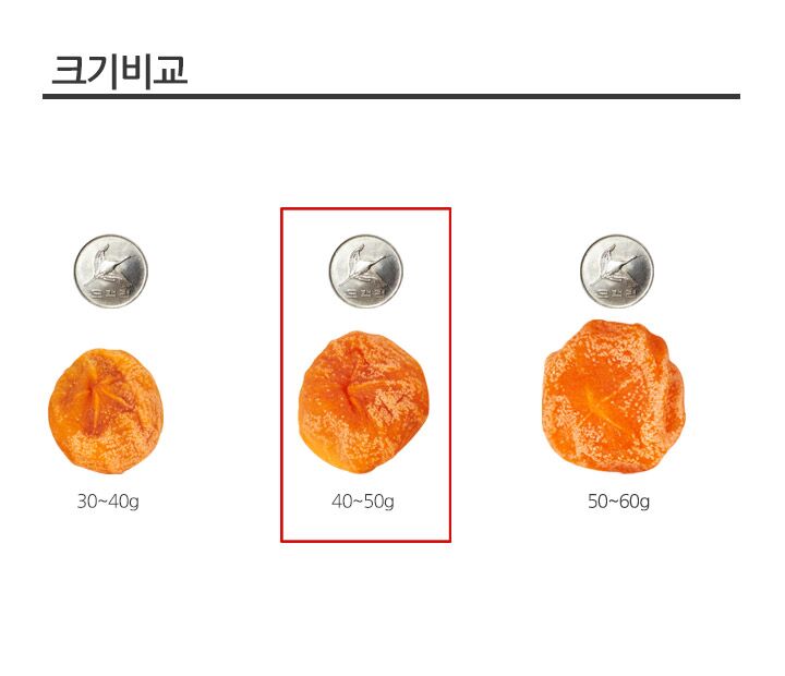06_size